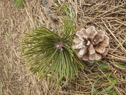 fti_somly_009 fti_somly_009